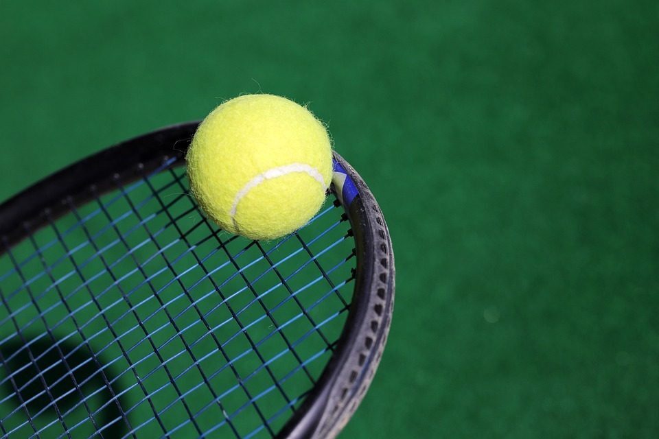 ATP Rotterdam 2020, Sinner ai quarti